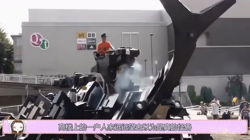 日本驚現(xiàn)巨型機械甲蟲汽車 七旬研發(fā)者11載匠心鑄就，推動機械設備租賃新篇章